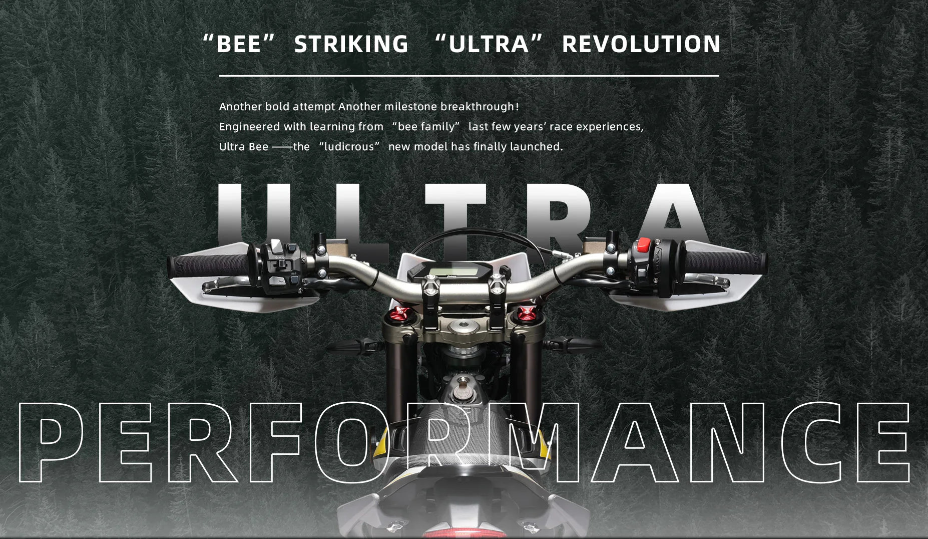 SUR-RON Ultra Bee / L3e / Straßenzulassung T Version (Trail) 
