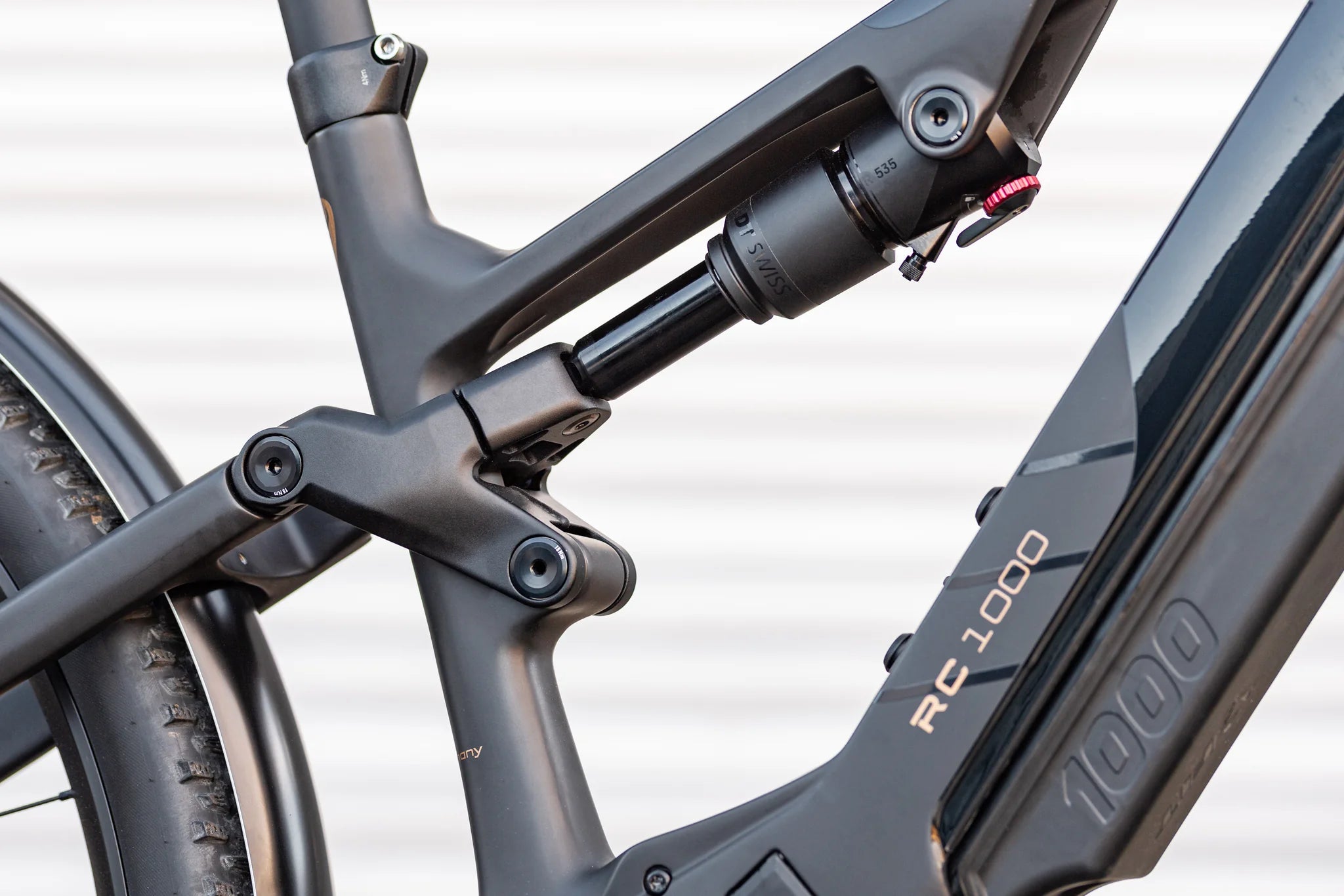 Rothirsch R.C1000
