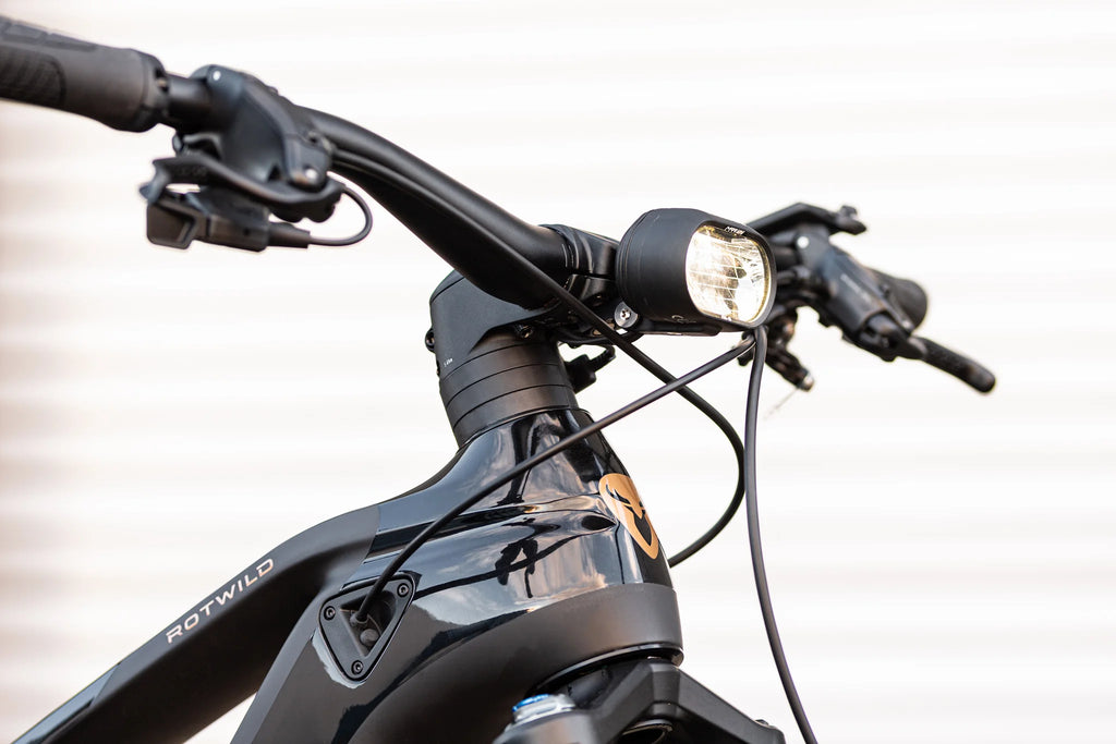 Rothirsch R.C1000