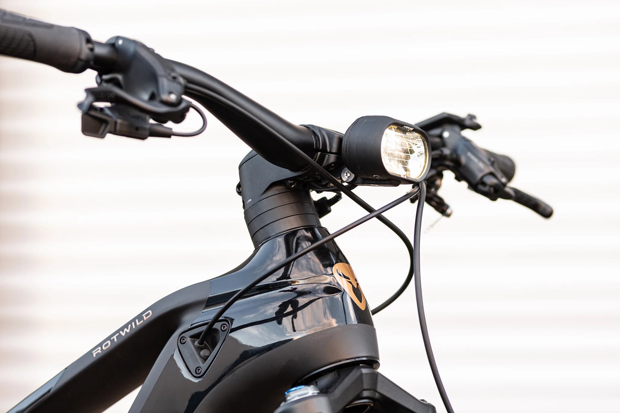 Rothirsch R.C1000
