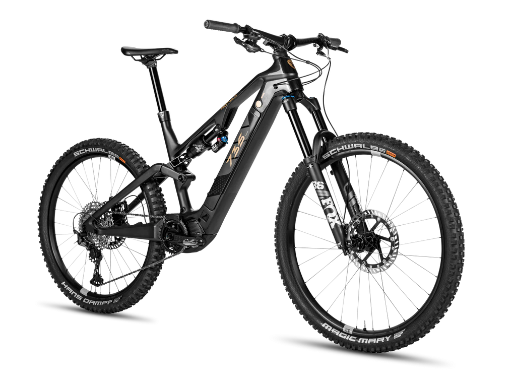 Rotwild R.E735 CORE