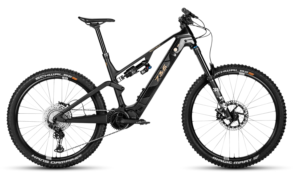 Rotwild R.E735 CORE