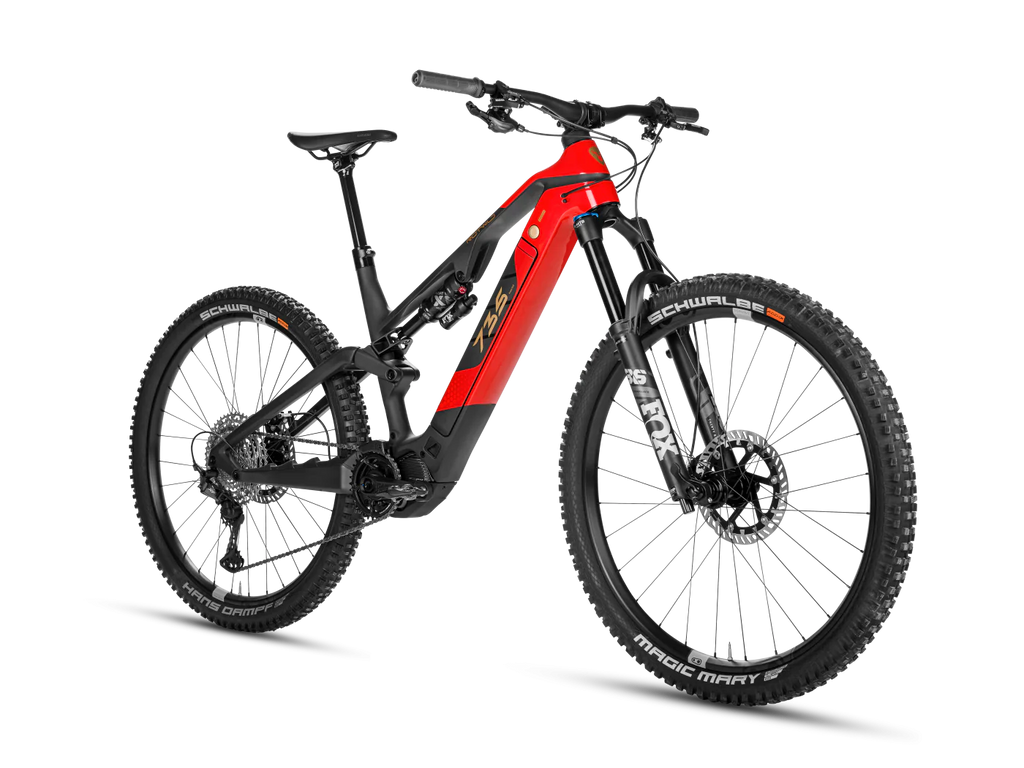 Rotwild R.X735 CORE