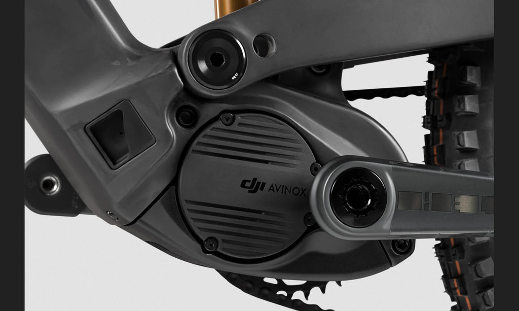 Rotwild R.EX PRO mit DJI Avinox Motor
