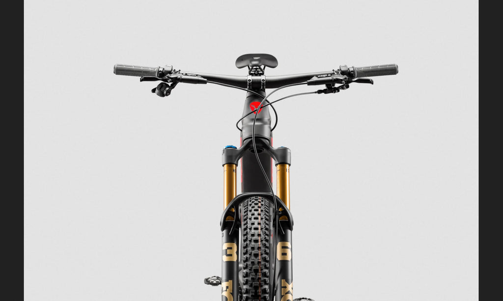 Rotwild R.EX CORE mit DJI Avinox Motor